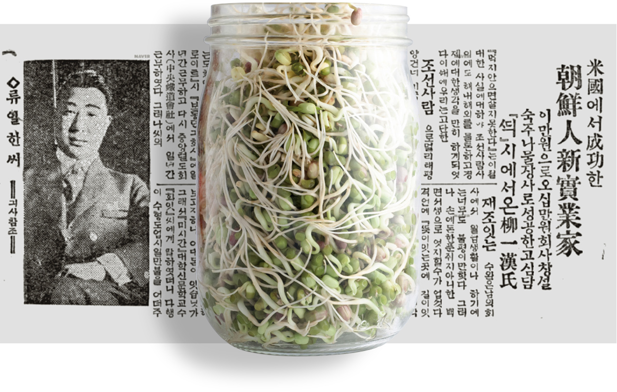 mung bean sprouts